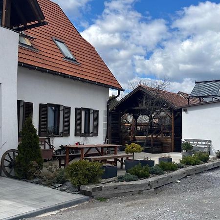 Csató Panzió - Pensiunea Csató Joseni  Exterior foto